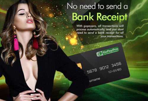 گو پی پرو چیست؟ 